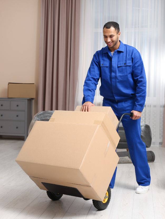 Professional Movers